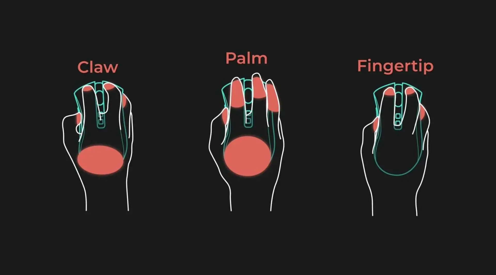 Kenali 3 Grip & Bentuk Mouse yang Perlu Kalian Pahami!