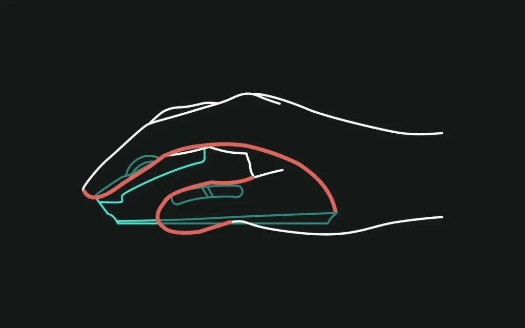 palm